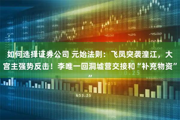 如何选择证券公司 元始法则：飞凤突袭湟江，大宫主强势反击！李唯一回洞墟营交接和“补充物资”